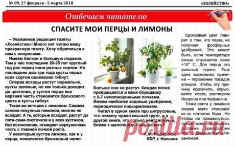 Спасите мои перцы и лимоны