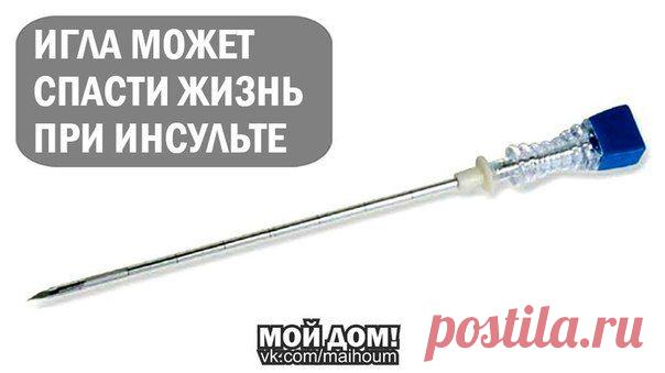 Светлана Вильякайнен