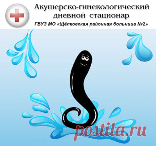 Гирудотерапия ( лечение пиявками ) - гинекология