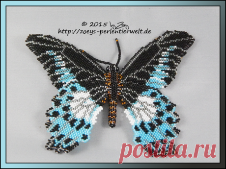 grosser Schmetterling by Zoey-01 on DeviantArt