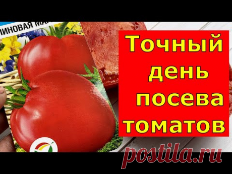 Когда СЕЯТЬ ТОМАТЫ на РАССАДУ в 2025 году, самые благоприятные дни