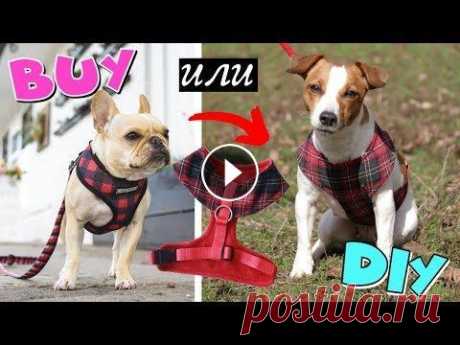 BUY или DIY | МЯГКАЯ ШЛЕЙКА ДЛЯ СОБАКИ СВОИМИ РУКАМИ // Выкройка + мастер класс МЕРЧ Darina Sweet - С любовью к Вам и Вашим питомцам ❤...