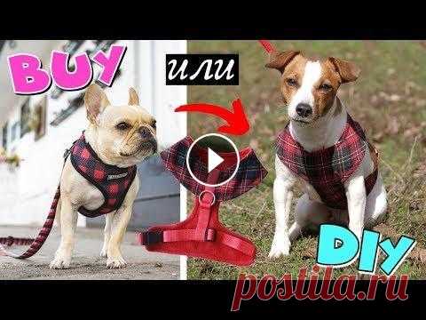 BUY или DIY | МЯГКАЯ ШЛЕЙКА ДЛЯ СОБАКИ СВОИМИ РУКАМИ // Выкройка + мастер класс МЕРЧ Darina Sweet - С любовью к Вам и Вашим питомцам ❤...