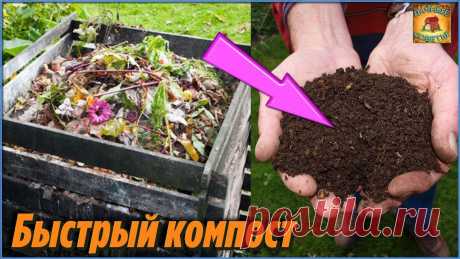 Многие и не догадываются как быстро приготовить качественный Компост по всем правилам на дачном участке Дачные Хитрости