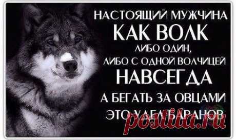♕ Золотая коллекция статусов, афоризмов и стихов ♕. Добавлена фотография в альбом Статусы со смыслом