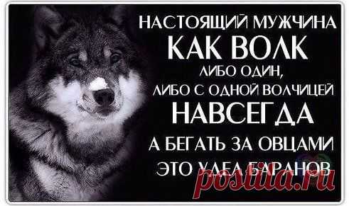 ♕ Золотая коллекция статусов, афоризмов и стихов ♕. Добавлена фотография в альбом Статусы со смыслом