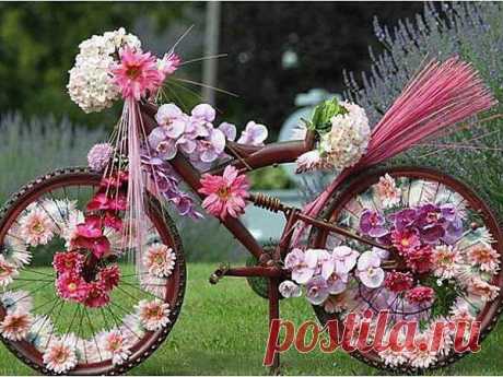 ❁⁀ ♥ ⁀✿ ✫ℒℴνℯ✫ ❁⁀ ♥ ⁀✿