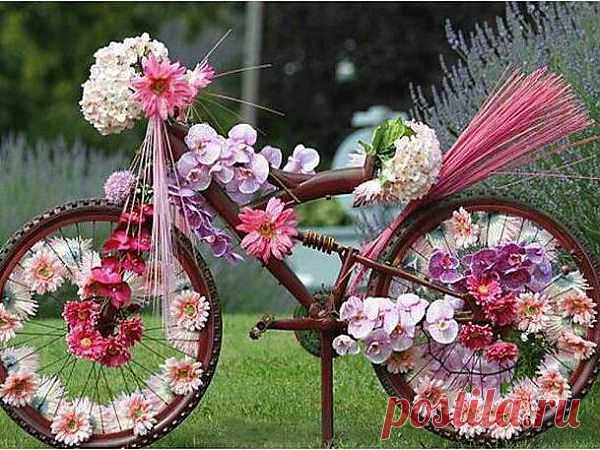 ❁⁀ ♥ ⁀✿ ✫ℒℴνℯ✫ ❁⁀ ♥ ⁀✿