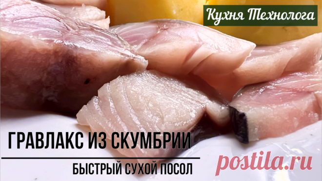 Оказывается скумбрия не хуже сёмги: всё дело в правильном посоле (спасибо шведам за рецепт) | Кухня Технолога | Дзен