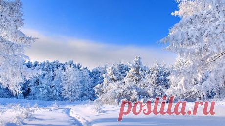 Скачать обои