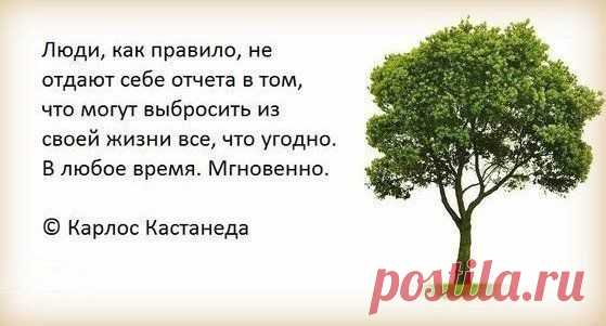 Мой Мир@Mail.Ru