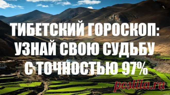 ТИБЕТСКИЙ ГОРОСКОП: УЗНАЙ СВОЮ СУДЬБУ С ТОЧНОСТЬЮ 97% — Полезные советы