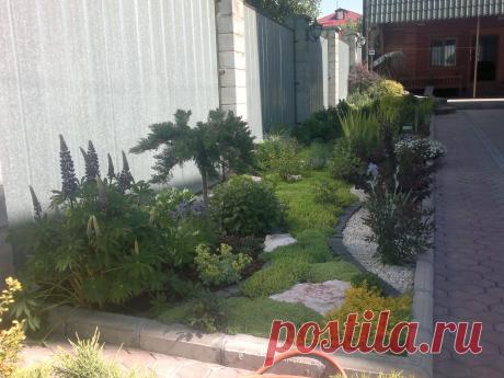 Наши работы — Landscape.kz, ландшафтный дизайн в Алматы,садовник в Алматы, альпийские горки, водоемы в Алматы, пруды в Алматы, газоны в Алматы, водопады в Алматы, поливочная система в Алматы, ландшафтное проектирование в Алматы, сады на крыше в Алматы, новогоднее оформление в Алматы, хвойные лиственные крупномеры в Алматы.