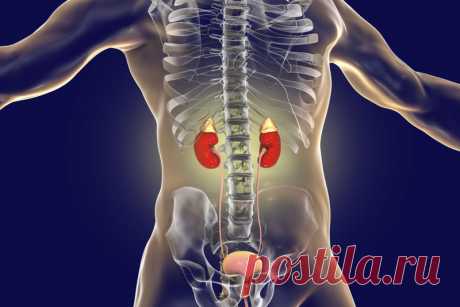 6 ранних признаков того, что ваши надпочечники устали