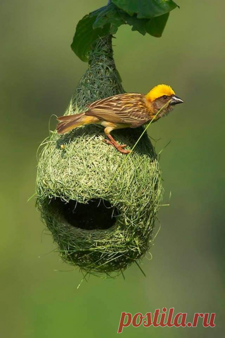 Home / Twitter