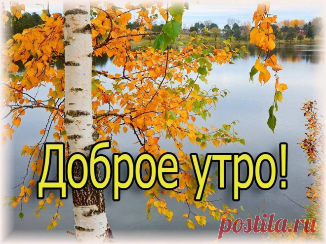 Բարի արավոտ բարեկամներ....☀️
Доброе утро, друзья!! Отличного дня!!
Из Есенина
...И золотеющая осень,
В березах убавляя сок,
За всех, кого любил и бросил,
Листвою плачет на песок...