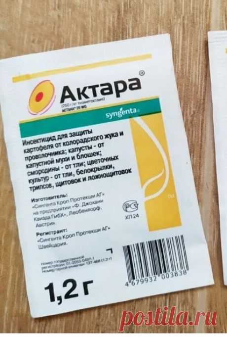 Актара не подходит ни для осени, ни для весны. Да, совсем. Убираем до следующего лета | Цветочная няша | Дзен