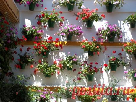 patios cordobeses interiores bonitos - Buscar con Google