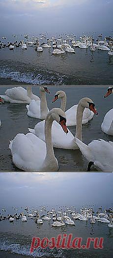 А Боги смеялись все утро и вечер.Смешила их... и другие материалы. Новое в Вашей подборке на Постила.ru - vladimirdudin56@mail.ru - Почта Mail.Ru