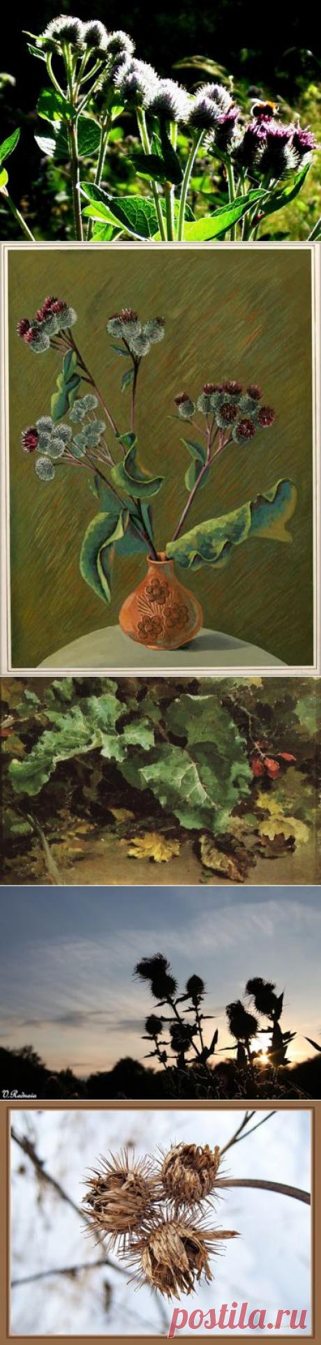 (+1) - Ода репейнику | Искусство