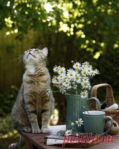 💐 Всё, что мы посылаем в жизнь других людей — возвращается в нашу собственную... ВСЕМ ВАМ, ДРУЗЬЯ: много-много ЛЮБВИ, ЗДОРОВЬЯ и БЛАГОПОЛУЧИЯ! 🥰😘