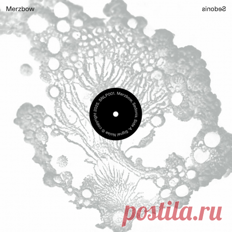 Merzbow - Sedonis (2025) 320kbps / FLAC