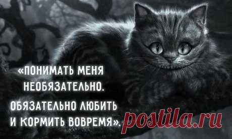 Интересные новости