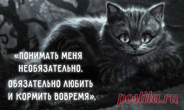 Интересные новости