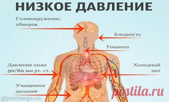 НИЗКОЕ ДАВЛЕНИЕ. СОВЕТЫ НА КАЖДЫЙ ДЕНЬ. 
 
- Гипотоники очень любят поспать. И если в среднем человеку необходимо 6-8 часов сна, то тем, у кого давление «в минус» 9-12 часов - в самый раз. Их часто называют «сони, лентяи», а на самом деле долго спать и «лениться» по утрам - физиологическая потребность их организма. 
 
Вот несколько простых, но важных рекомендаций, которые помогут ощущать себя комфортней и бодрее уже с утра: никогда не вставайте резко; 
 
после пробуждения ...