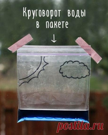 ОПЫТЫ ДЛЯ ДЕТЕЙ