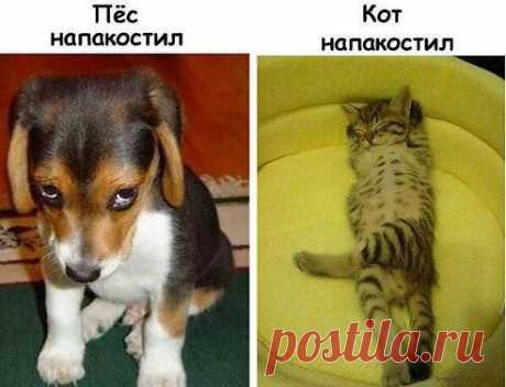 Svetlana ♥(ړײ)♥
Почувствуй разницу )))