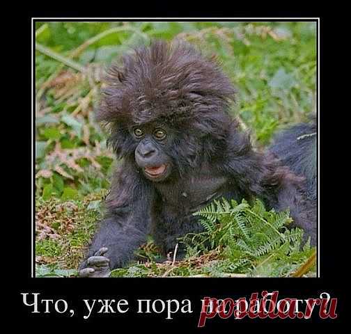 утро