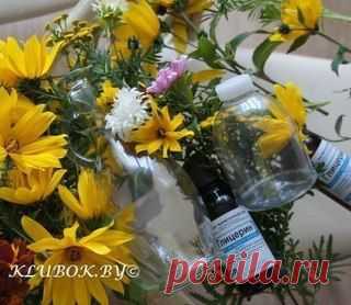Цветы в глицерине