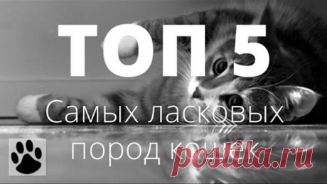 (54) Одноклассники