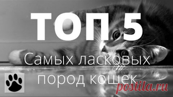 (54) Одноклассники