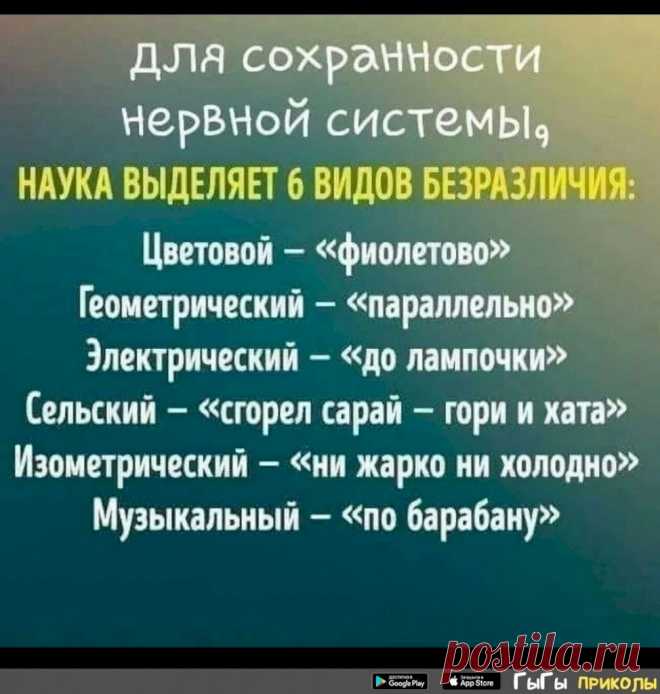 - Слушай, Вась, ты завтра сможешь от нашей команды побежать на соревнованиях офисных работников? - Пожалуй, смогу! - А как - спринтером на короткую дистанцию, или стайером - на длинную? - Давай с принтером! А тайер – это что? - Выпуск №2828