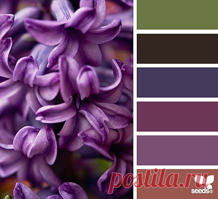 Design Seeds® | find your palette