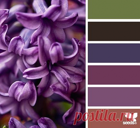 Design Seeds® | find your palette