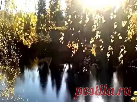 Жизнь, научи меня не унывать... /автор слов Оксана Носова/