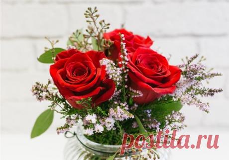 tulipanes de colores - Buscar con Google