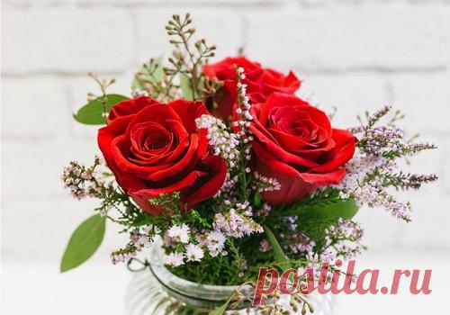 tulipanes de colores - Buscar con Google