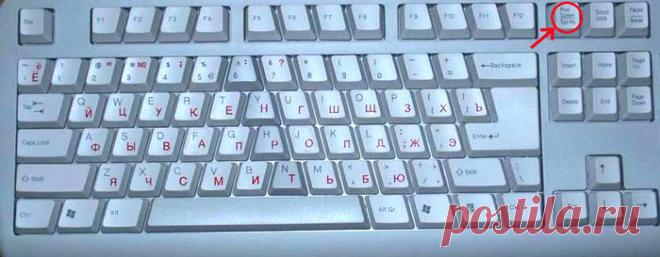 Скриншоты. Что такое скриншоты, для чего они нужны