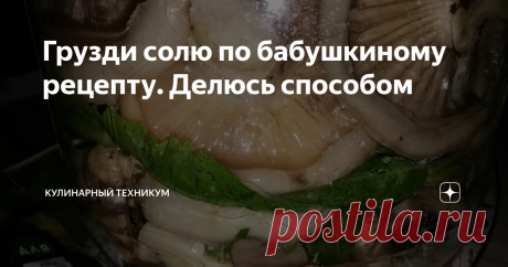Грузди солю по бабушкиному рецепту. Делюсь способом Рецепт проще простого, а результат превзойдет все ожидания.  Я обожаю грибы. И даже не столько есть, сколько собирать.  Эту страсть к грибам мне привили с детства. Сколько себя помню бабушка и дед, мои родители всегда ходили за грибами и приносили полные корзины грибов. И не всегда это были корзины, иногда это были мешки! Тогда, в советское время, это было можно.  Грибы мы никогда не продавали, а солили, жарили, тушили, д...