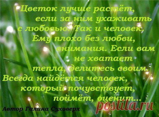 Я хочу в твои ладошки 
Положить совсем немножко: 
Дуновенье ветерка, 
Чтоб развеял все печали. 
Лепесток от василька, 
Чтоб друзья не забывали. 
Лучик радуги цветной, 
Чтобы мир купался в красках. 
Шёпот звёздочки ночной, 
Чтобы снились только сказки. 
Каплю горного ручья, 
Чтобы сердце было чистым. 
А ещё в ладошки я 
Положу свой взгляд лучистый. 
И когда к тебе немножко 
Грусть нечаянно нагрянет, 
Ты раскрой свои ладошки, 
И тебе теплее станет!
Автор неизвестный