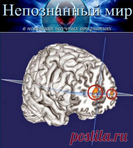 Осознанные сновидения и метапознание связаны между собой | Непознанный мир

У людей, имеющих опыт осознанных сновидений, область мозга, отвечающая за анализ мышления, больших размеров; они во время бодрствования склонны к саморефлексии.