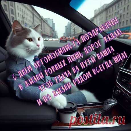 Мчи быстро, очень аккуратно
И к целям не имей преград,
Ведь водишь ты невероятно,
Дороги яростный фанат!