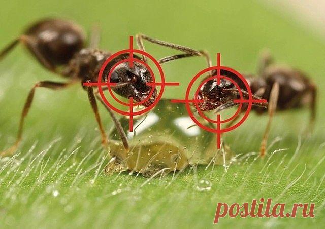 2 непрочитанных чата