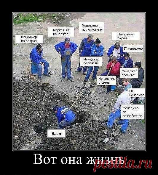 Демотиваторы / Приколы