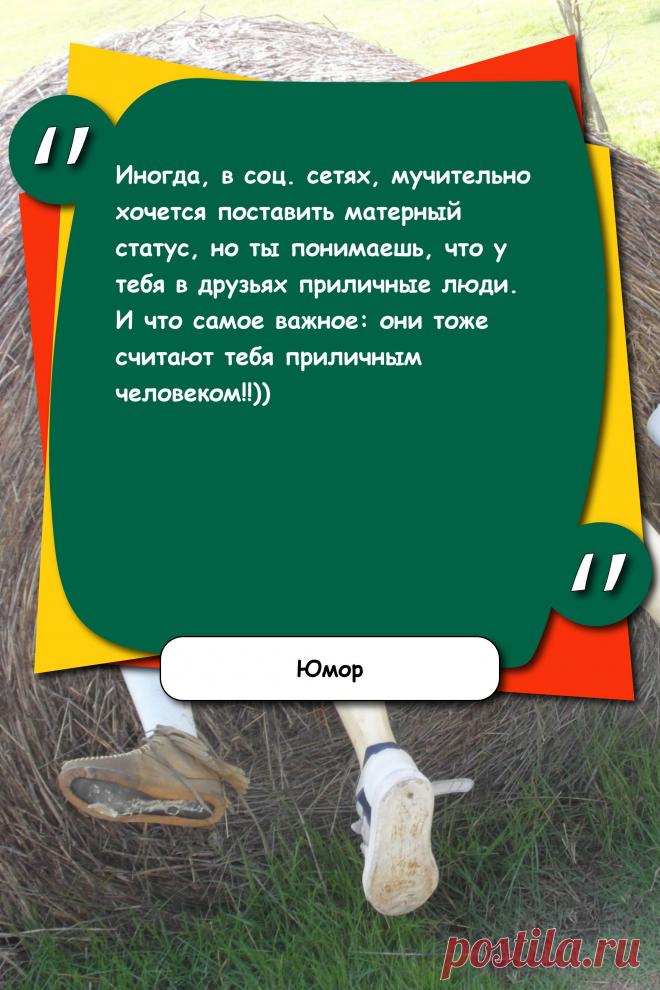 Цитата про «Юмор» — Иногда, в соц. сетях, мучительно хочется…