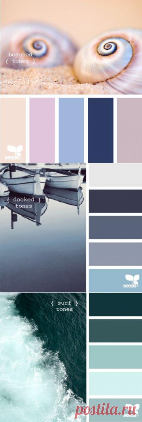 сочетание цветов в природе..